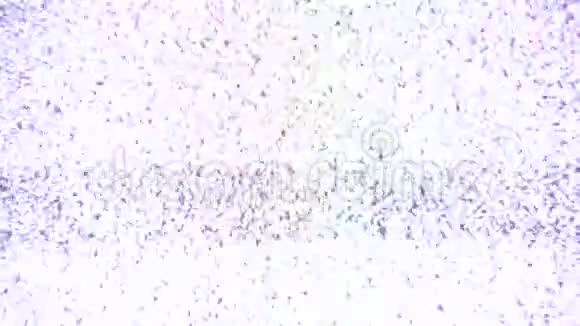 阴极管电视渠道混乱雪介质关闭旧阴极射线电视信号干扰视频的预览图