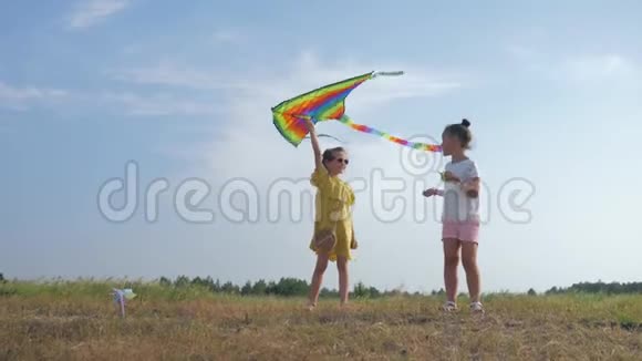 无忧无虑的时光快乐的孩子们在森林的小路上玩风筝在蓝天的映衬下在大自然中放松视频的预览图