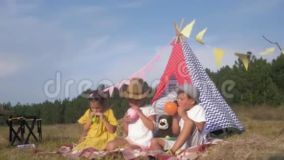 孩子们的野餐游戏有趣的男孩和女孩很高兴在周末在新鲜空气中充气五颜六色的球来装饰假发视频的预览图