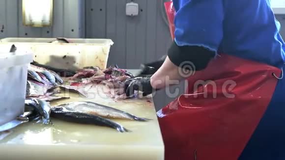 鱼雕切工作件手工工人视频的预览图