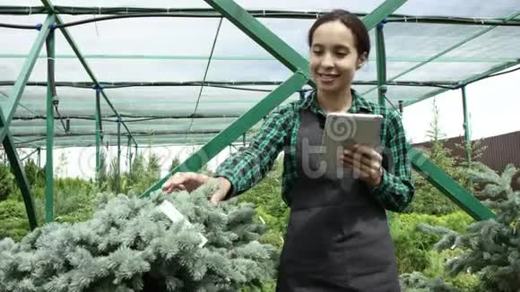 穿着工作服装和灰色围裙的漂亮女孩代表着她手里拿着平板电脑的绿色针叶树丛视频的预览图