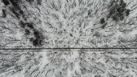 在公园的空中飞行上面有冬天的树木人们沿着它走视频的预览图