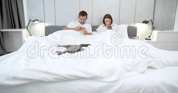 年轻夫妇和一只猫躺在床上用他们的手机4K视频的预览图
