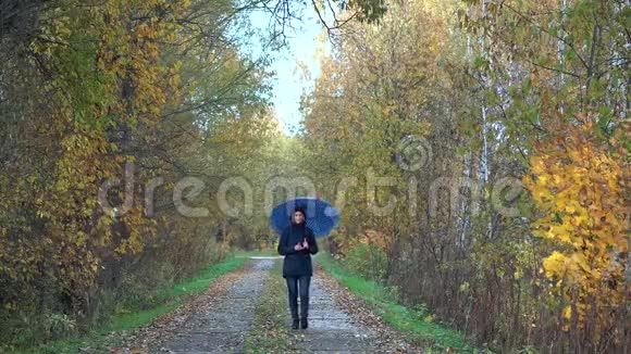 一个身材苗条的女人穿着蓝色夹克和蓝色牛仔裤在一把蓝色的雨伞下走在潮湿的小径上穿过秋天公园视频的预览图