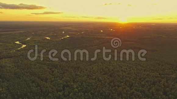 在阳光明媚的夜晚在绿色森林景观之上的日落天空的鸟瞰顶景夏季日出视频的预览图