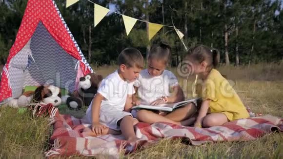 可爱的孩子们漂亮的女孩子和快乐的男孩在森林野餐时在草地上休息的书中读故事视频的预览图
