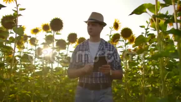生物老师走在大自然中的向日葵上视频的预览图