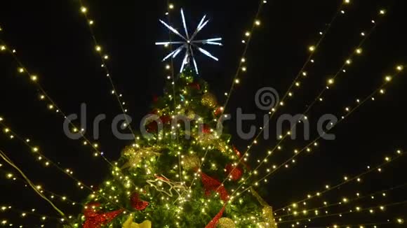 在市中心晚上装饰圣诞树圣诞节常绿树枝上五颜六色的装饰和点燃的弦灯公司视频的预览图