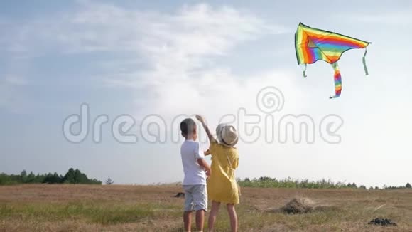 无忧无虑的童年快乐的男孩和女孩在森林里的空地上玩空气玩具同时放松视频的预览图
