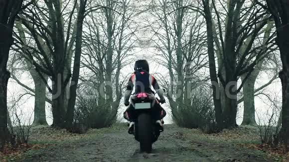 摩托车手穿过秋天的森林视频的预览图