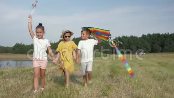 孩子们的关系可爱的女孩和有魅力的男孩牵着手在草地上玩得很开心并在期间发射风筝视频的预览图