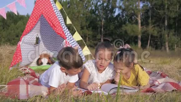 孩子们在大自然中休息小可爱的朋友喜欢在森林里休息在野餐时读有趣的书视频的预览图