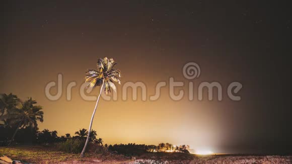 印度果阿真正的夜空之星天然星空背景下的椰树棕榈时间流逝视频的预览图