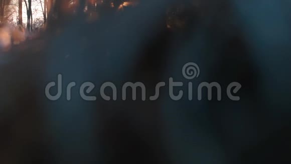 观秋林初霜视频的预览图