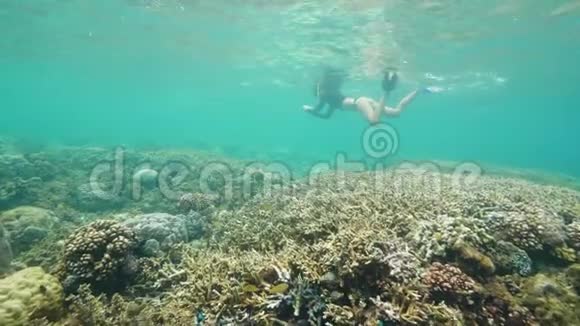 一个年轻的游客浮潜在海洋与美妙的水下世界视频的预览图