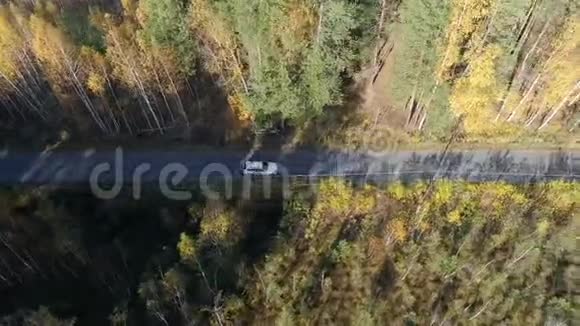 空中观景路上的森林与汽车视频的预览图