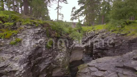 苏格兰阿伯当郡迪流水林视频的预览图