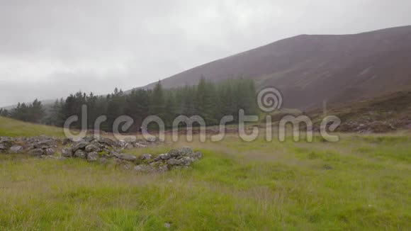苏格兰高地岩石松树徒步旅行视频的预览图