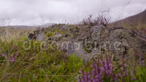 苏格兰苏格兰高地石岩石楠视频的预览图