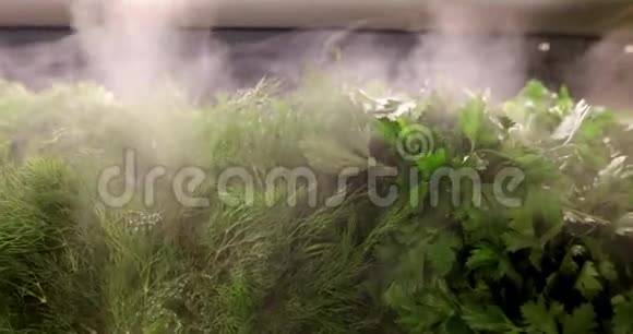 加湿器产生蒸汽进行加湿视频的预览图
