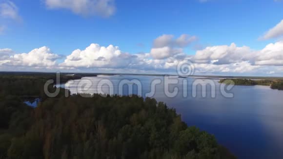 森林里的大湖视频的预览图