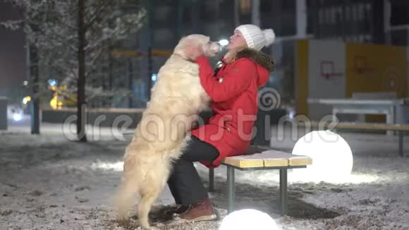 美丽幸福的家庭和一只大狗在冬天在城里玩视频的预览图