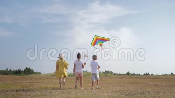 快乐的孩子快乐的孩子快乐的孩子快乐的孩子在蓝天背景下的暑假里带着风筝在草地上散步自由视频的预览图