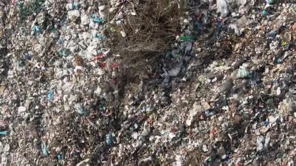 山体内塑料山体垃圾大型垃圾堆退化垃圾堆的臭气和有毒残渣这些视频的预览图