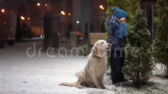 美丽的慢动作视频小男孩带着他的狗高兴地摇着雪从一棵下雪的圣诞树在公园里视频的预览图