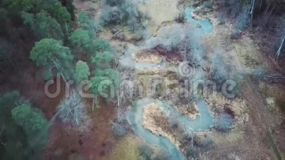 在Tervette自然公园的木制城堡森林和河流Terve的鸟瞰图视频的预览图