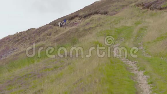 小马高原徒步旅行苏格兰英国视频的预览图