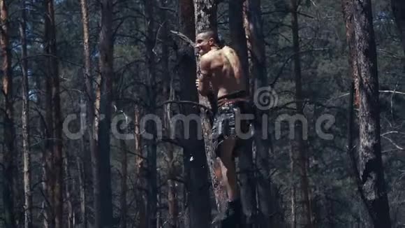 野蛮战士正在爬树拿起斧头逃跑视频的预览图