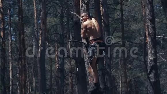 有脸漆和皮衣的大蛮族正在爬树视频的预览图