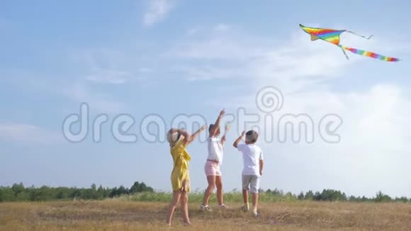 活跃的游戏快乐的小伙伴在森林草地上玩风筝在家庭中放松自己视频的预览图