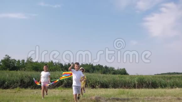孩子们的娱乐活动快乐的孩子们在暑假玩风筝玩得很开心视频的预览图
