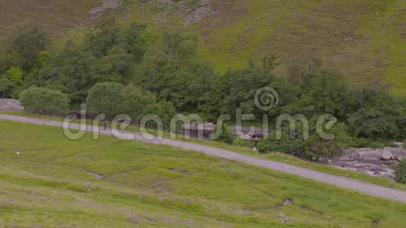 苏格兰山徒步旅行视频的预览图