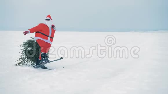 圣诞老人在滑雪板上拖着一棵杉树视频的预览图