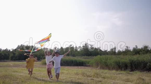 孩子们带着风筝满意的孩子在暑假期间在草地上玩得开心蓝天和芦苇概念视频的预览图