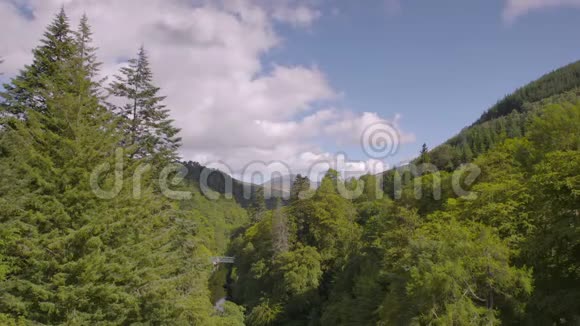 移动云松树森林高地苏格兰视频的预览图