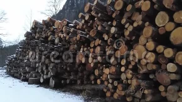 刚被砍倒的树干堆起来运输视频的预览图