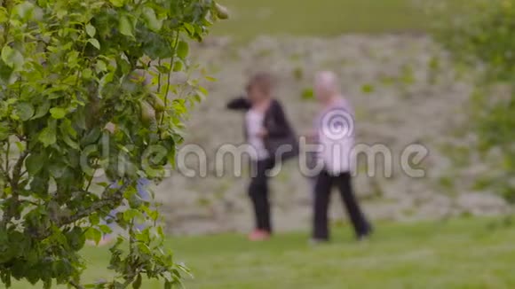 会议梨大力士花园步行苏格兰视频的预览图