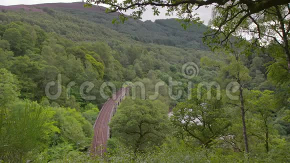 铁路高架桥苏格兰高地森林视频的预览图