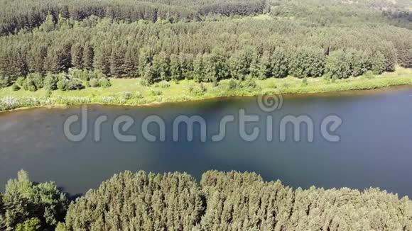 鸟瞰美丽的小湖坐落在松林中夏日晴天视频的预览图
