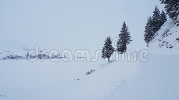 瑞士阿尔卑斯山雾中的冬季景观视频的预览图