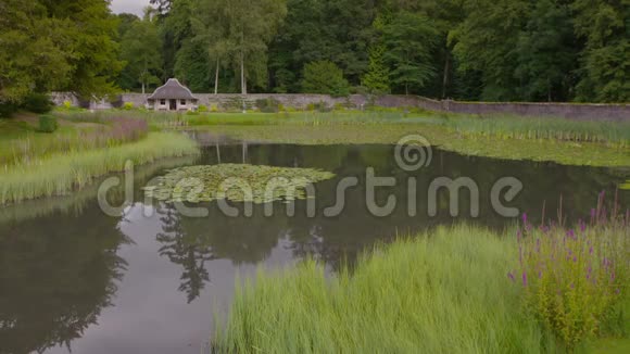 英国苏格兰大力士花园池塘和鸟舍视频的预览图