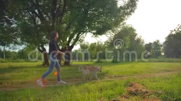 在公园里一个女孩带着一条狗带着一条皮带被一个女孩的高调射杀视频的预览图