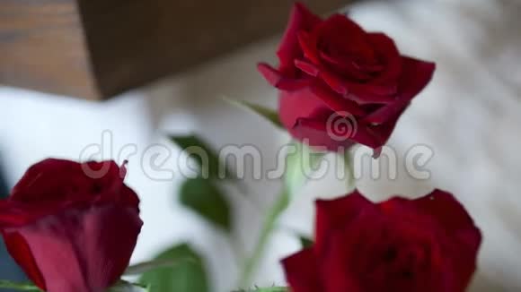 新鲜的红玫瑰视频的预览图