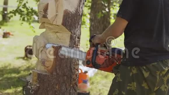 一个人用电锯从木头上雕刻一个木制雕像木制雕塑视频的预览图