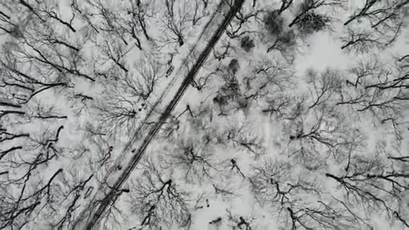 空中飞过公园的小路冬天有树人们沿着它走视频的预览图