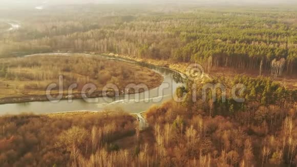 森林森林的空中景观和部分冰冻的河流景观在阳光明媚的后期Autunn日欧洲美景一览视频的预览图